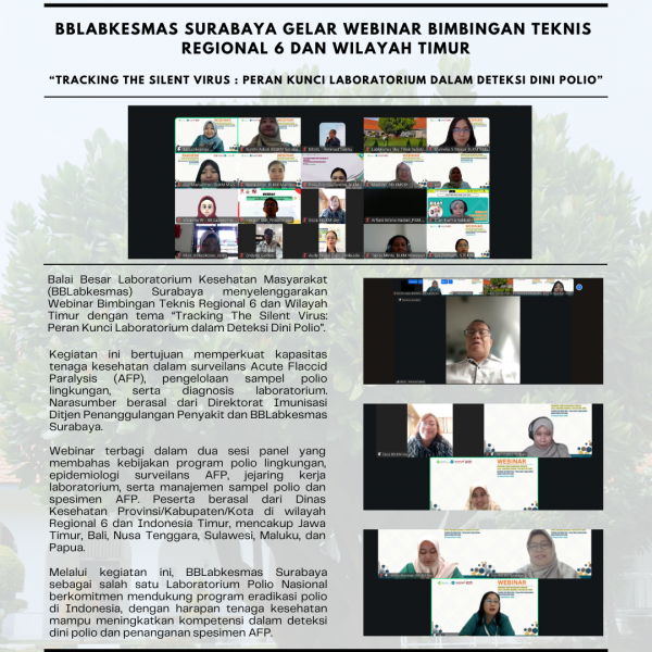 Webinar Bimbingan Teknis Regional 6 dan Wilayah Timur